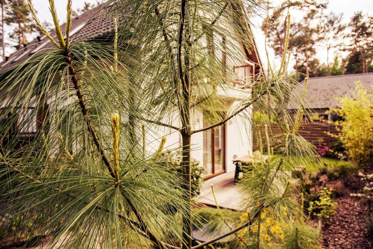 Urlop Przy Wydmach Appartement Międzywodzie Buitenkant foto