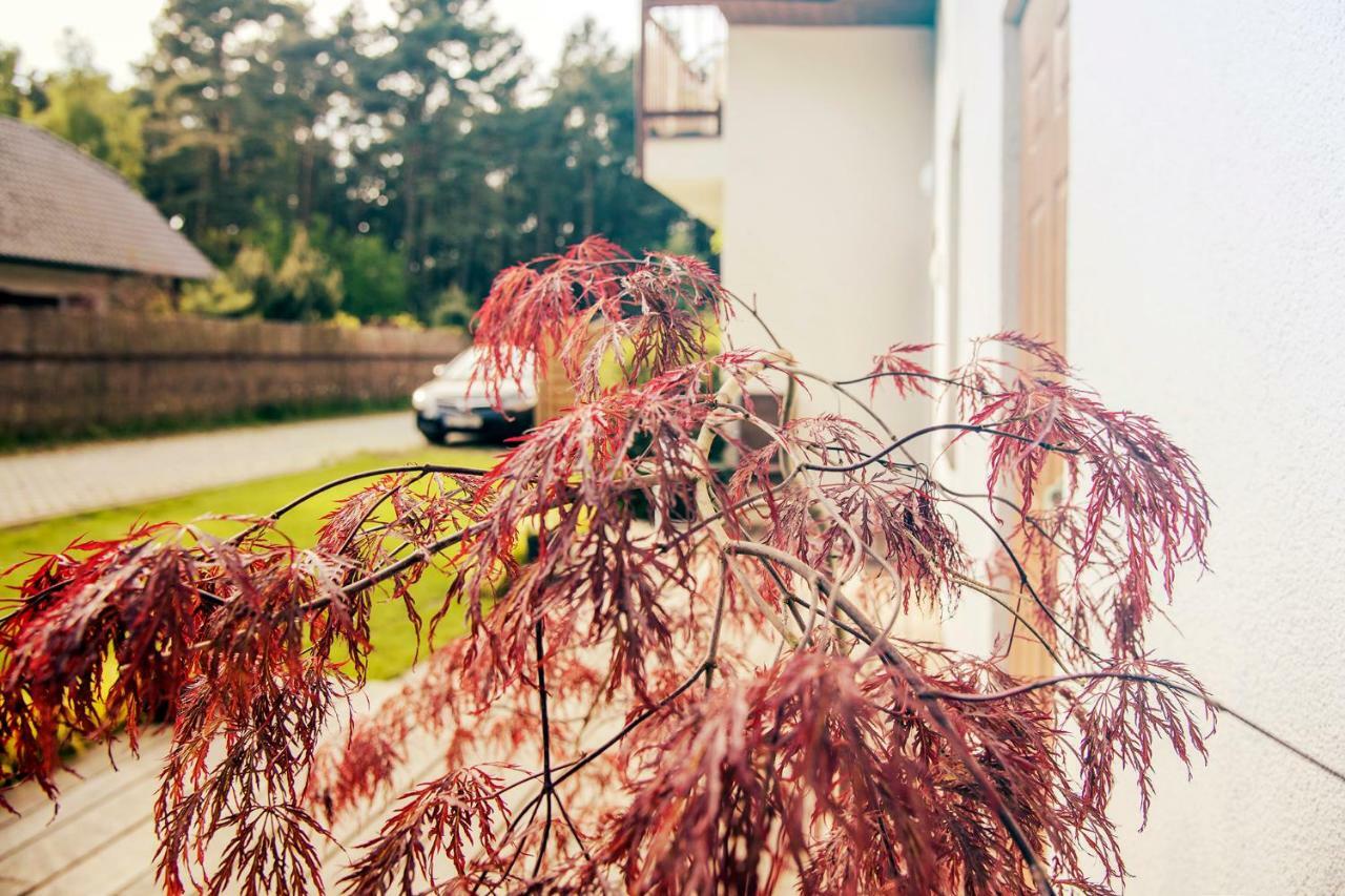 Urlop Przy Wydmach Appartement Międzywodzie Buitenkant foto
